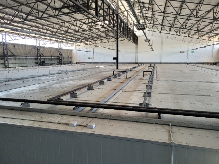 To Let commercial Property for Rent in Montague Gardens Western Cape